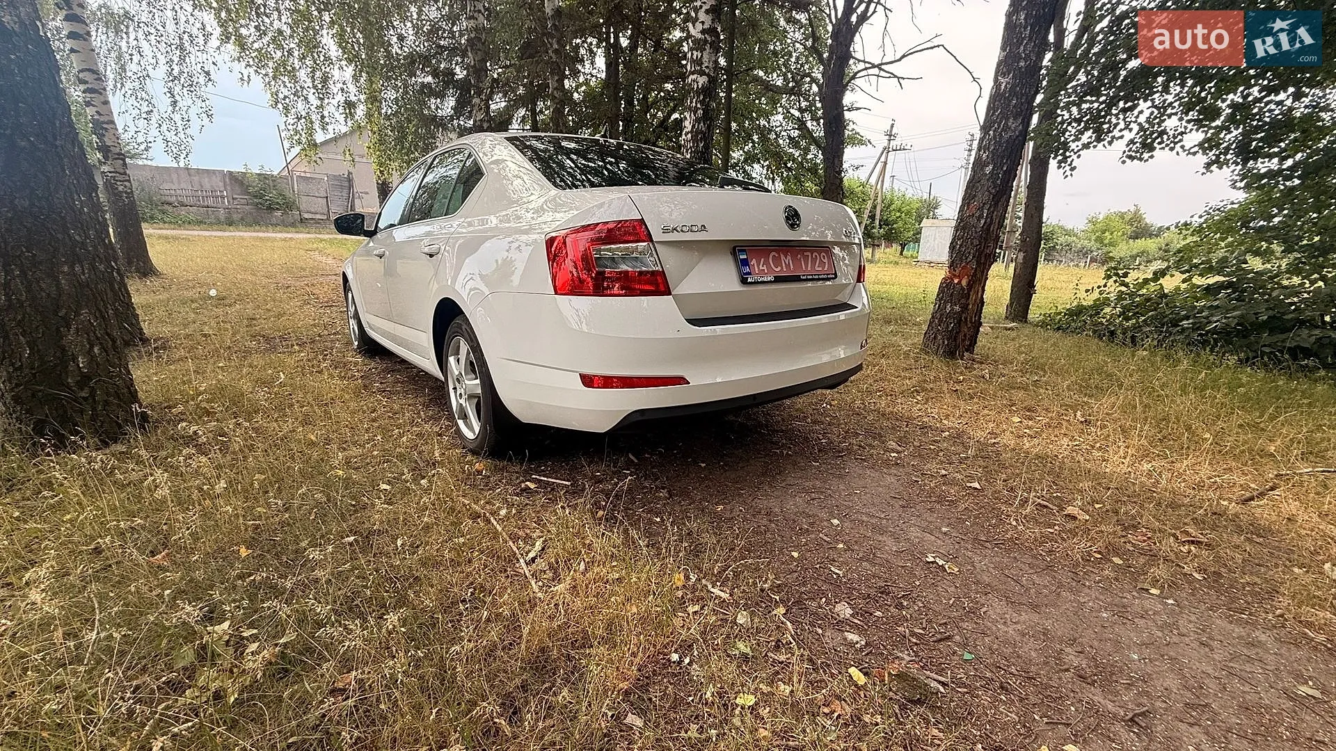 2017 Skoda Octavia - мініатюра 13