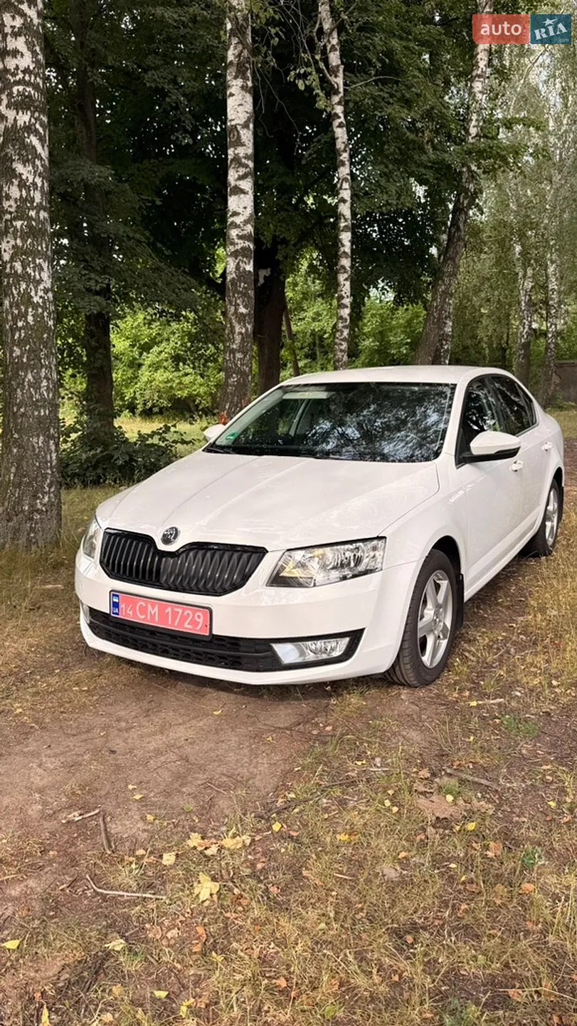 2017 Skoda Octavia - мініатюра 4
