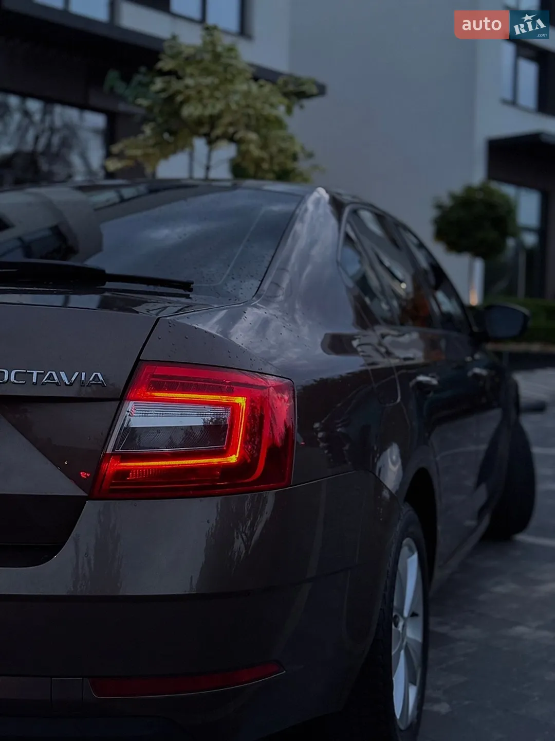 2018 Skoda Octavia - мініатюра 7