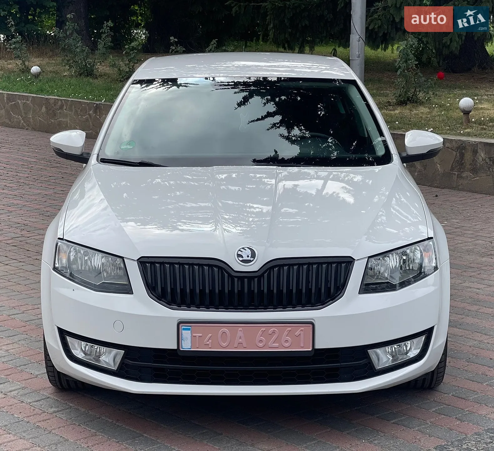2017 Skoda Octavia - мініатюра 3