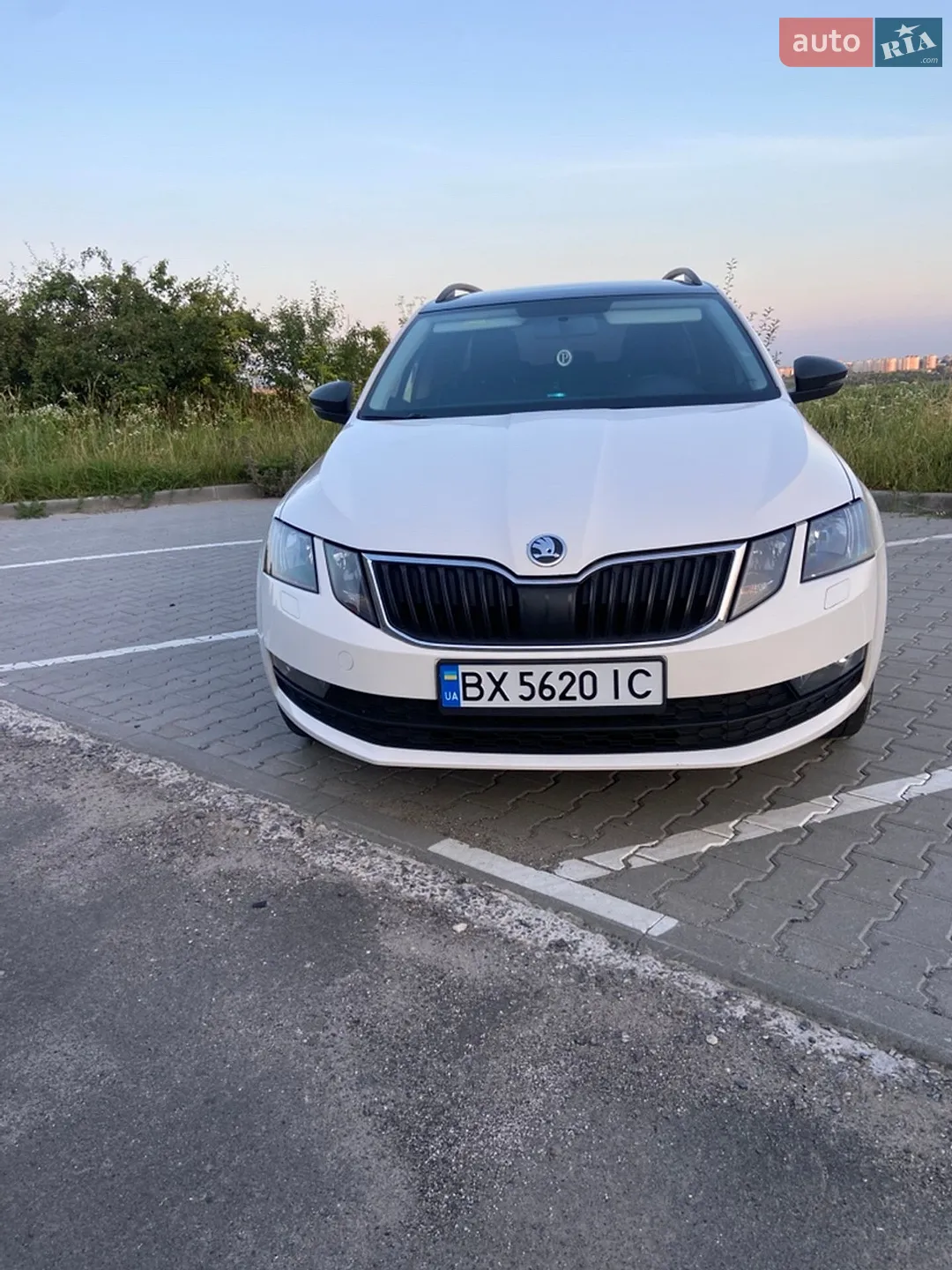 2017 Skoda Octavia - фото 1