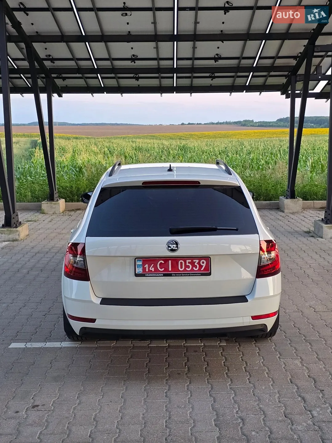 2020 Skoda Octavia - мініатюра 4