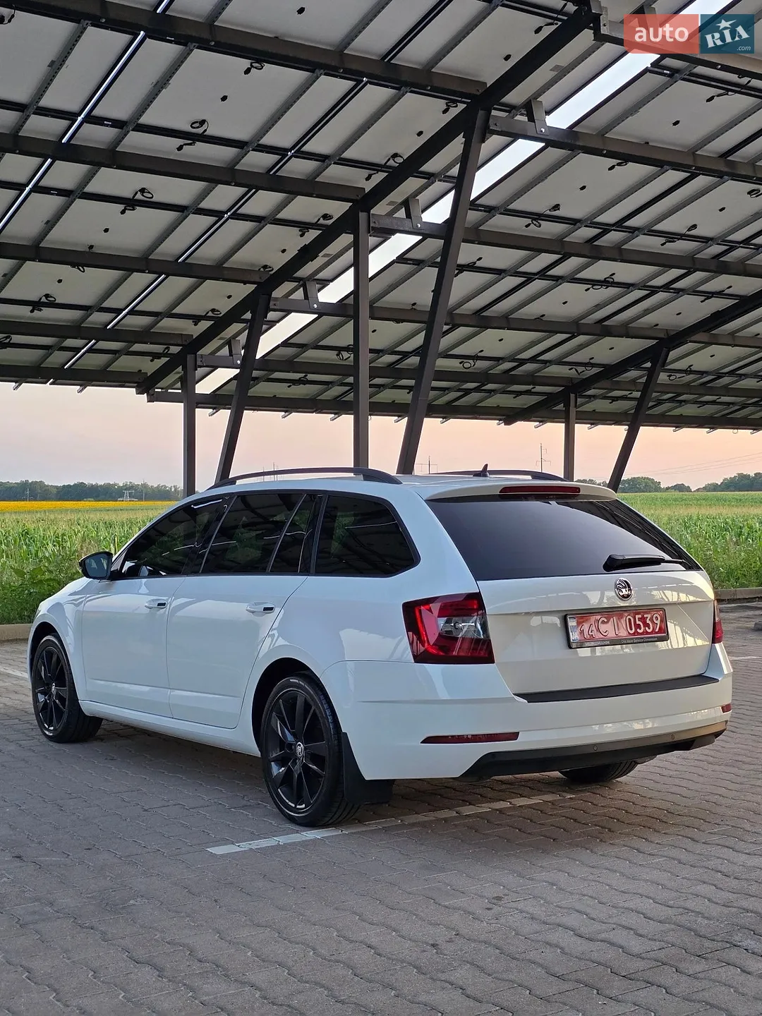 2020 Skoda Octavia - мініатюра 6
