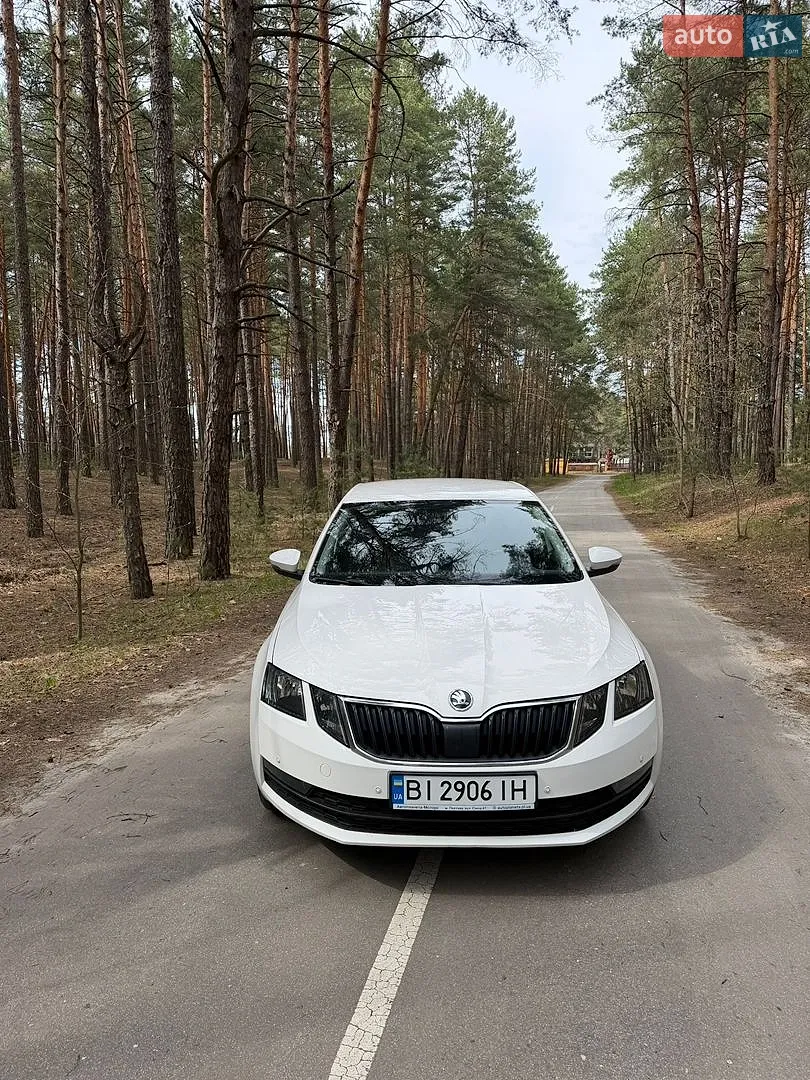 2019 Skoda Octavia - фото 1