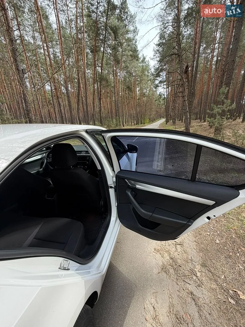 2019 Skoda Octavia - мініатюра 11
