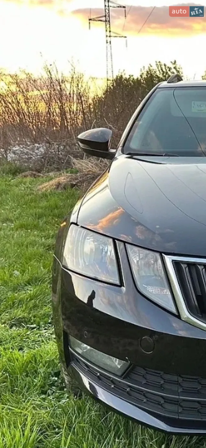2017 Skoda Octavia - мініатюра 23