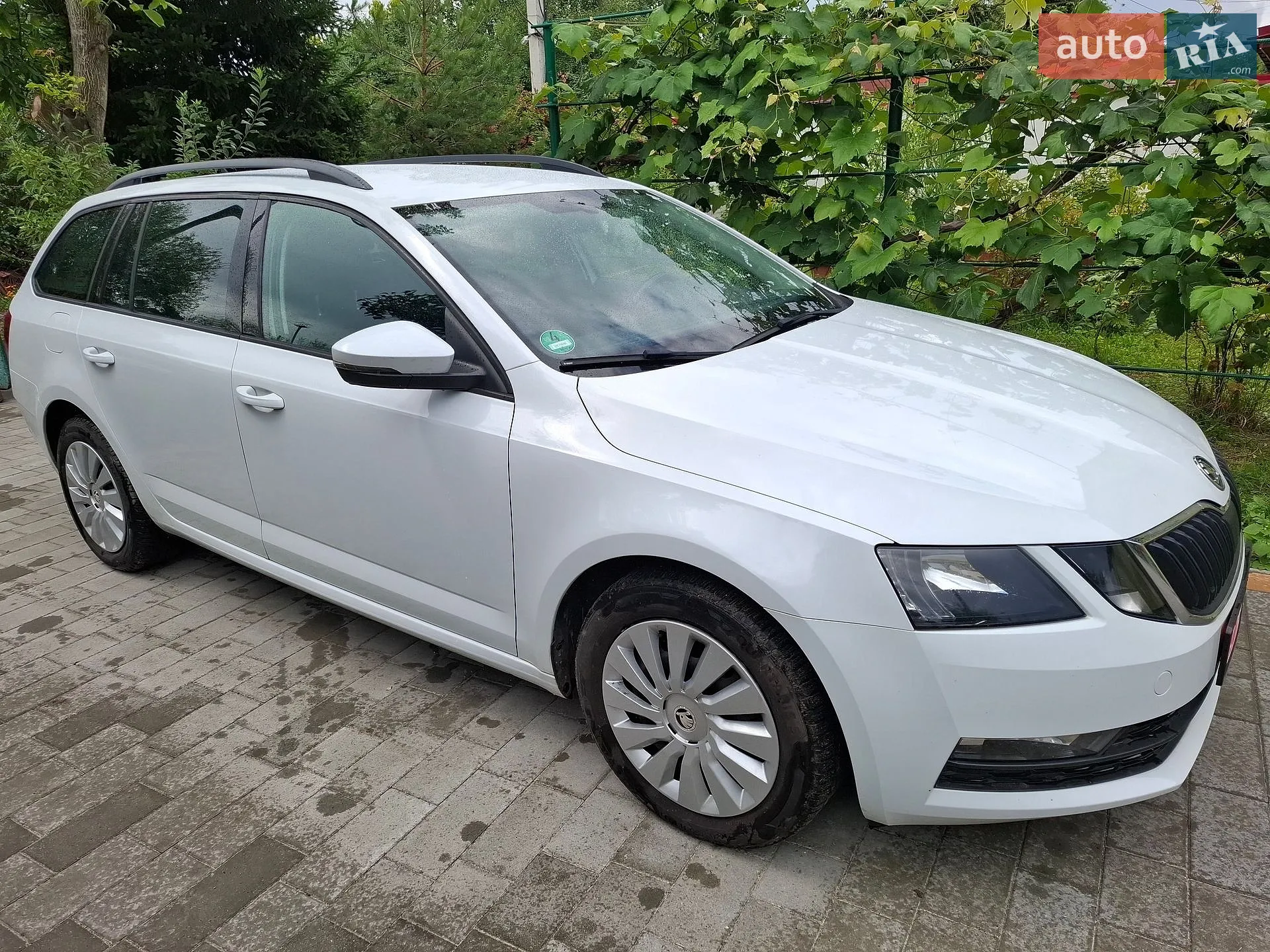 2017 Skoda Octavia - фото 1