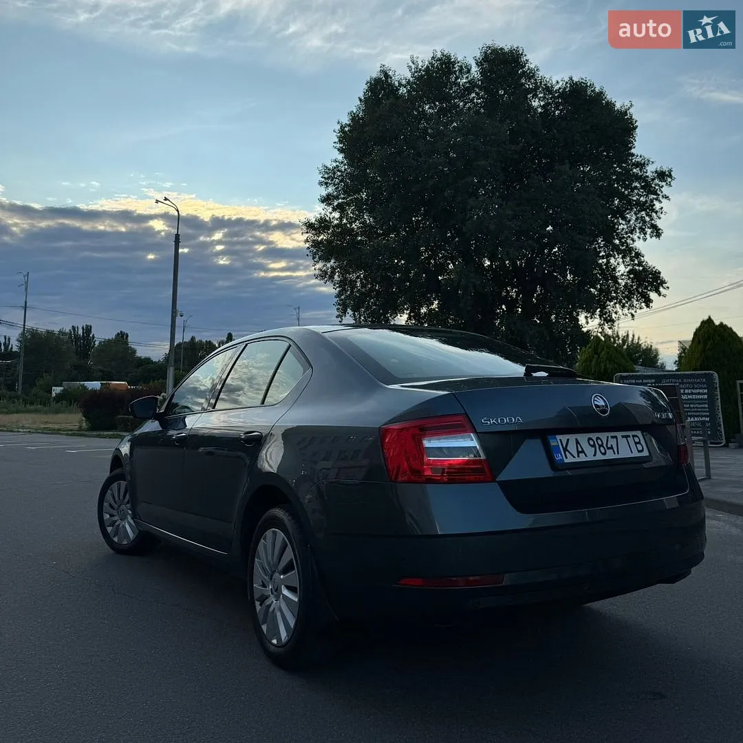 2018 Skoda Octavia - мініатюра 8