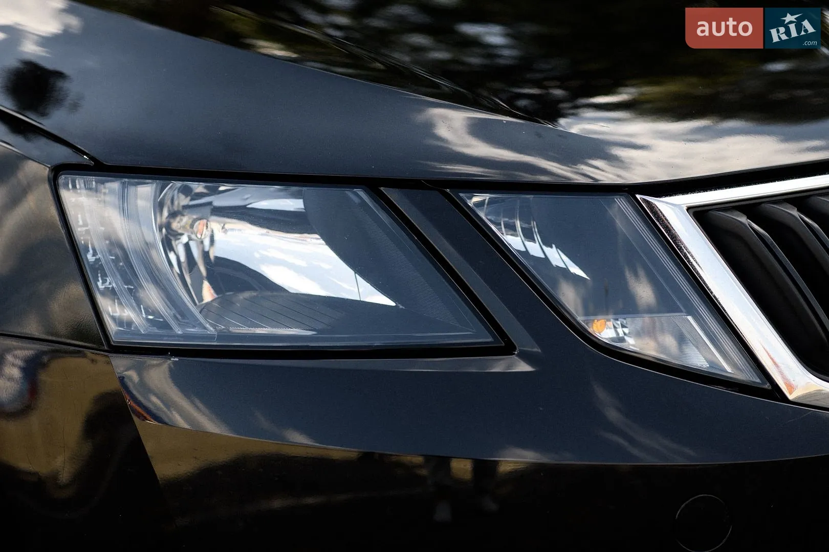 2018 Skoda Octavia - мініатюра 8