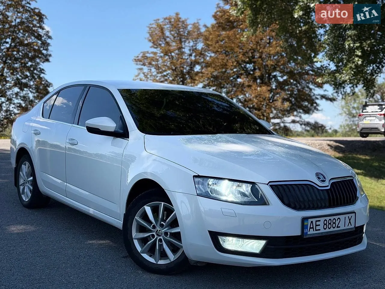 2013 Skoda Octavia - мініатюра 3