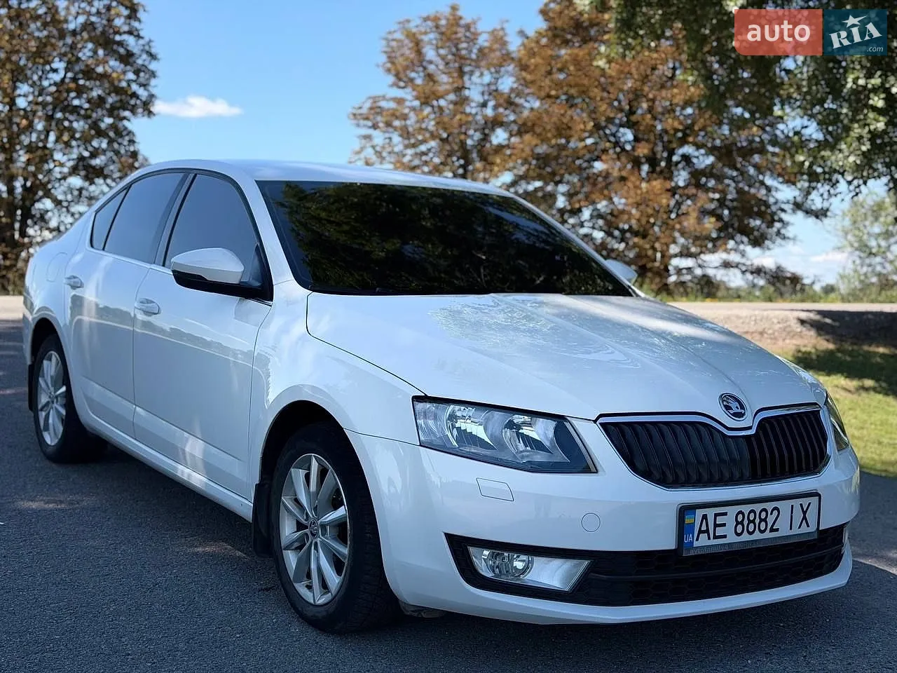 2013 Skoda Octavia - мініатюра 7