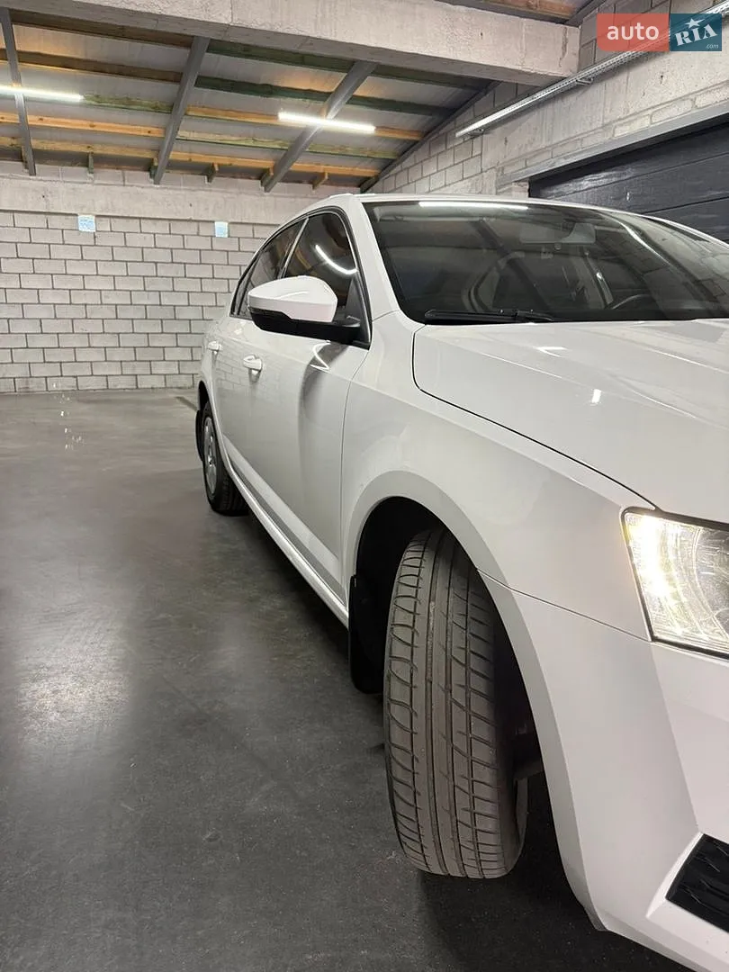 2019 Skoda Octavia - мініатюра 3