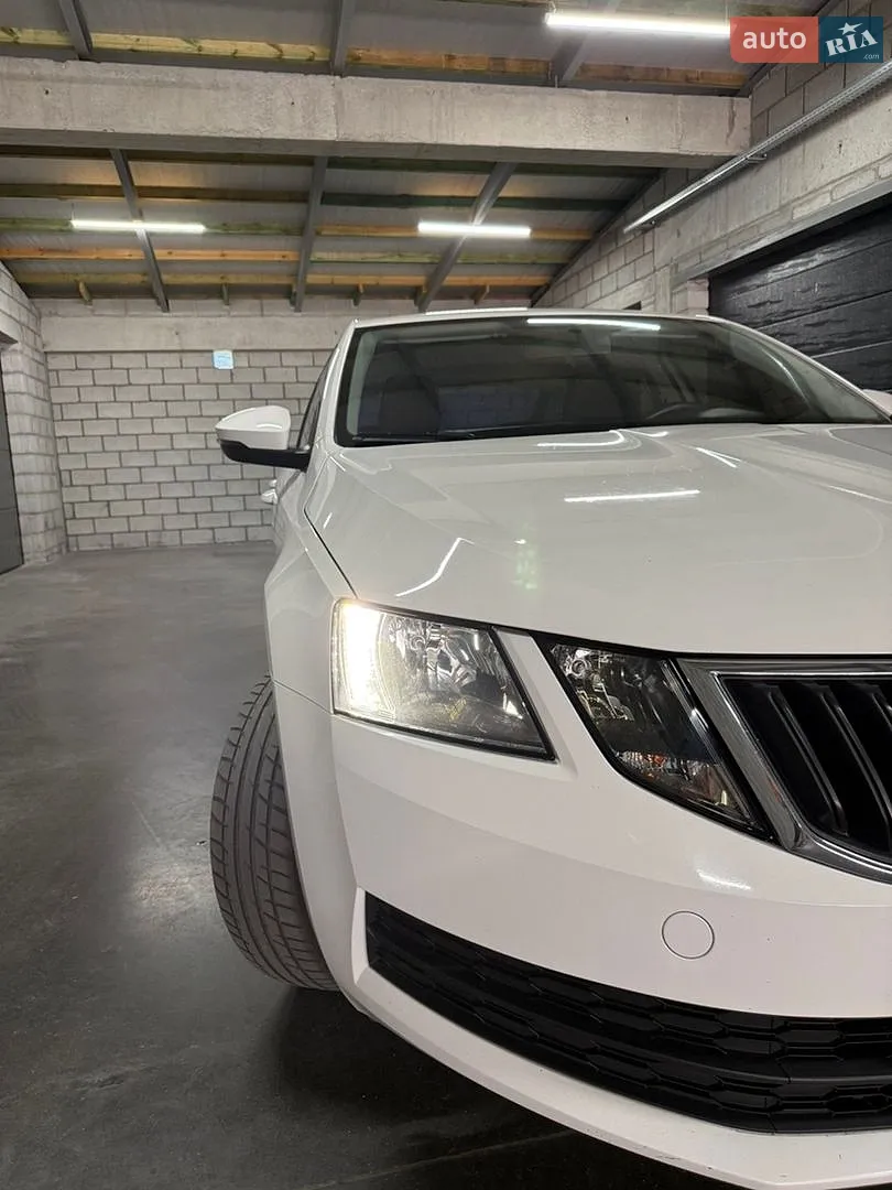 2019 Skoda Octavia - мініатюра 22