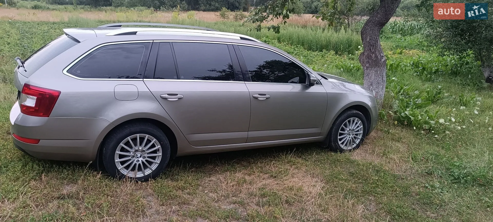 2014 Skoda Octavia - мініатюра 16