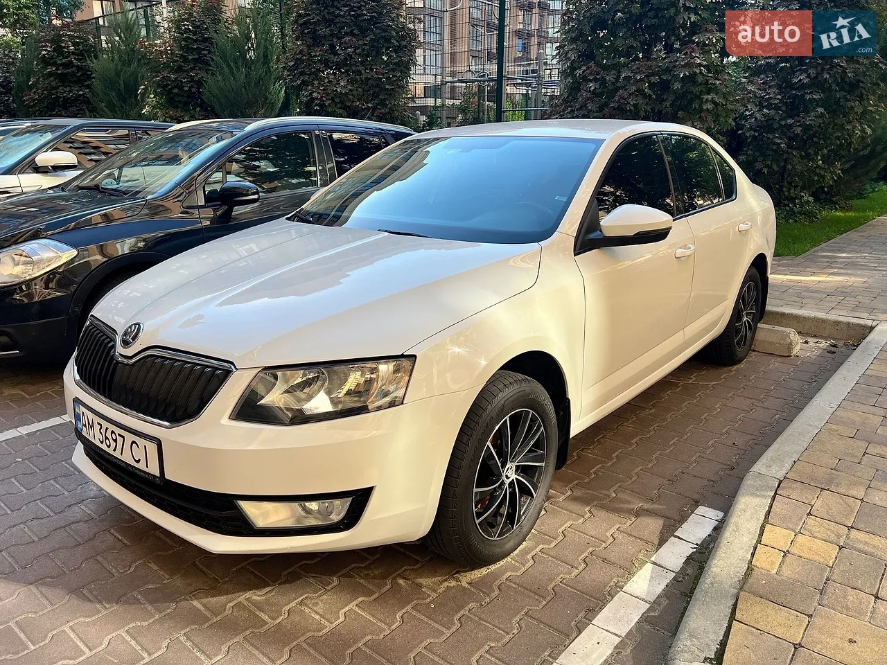 2013 Skoda Octavia - мініатюра 20
