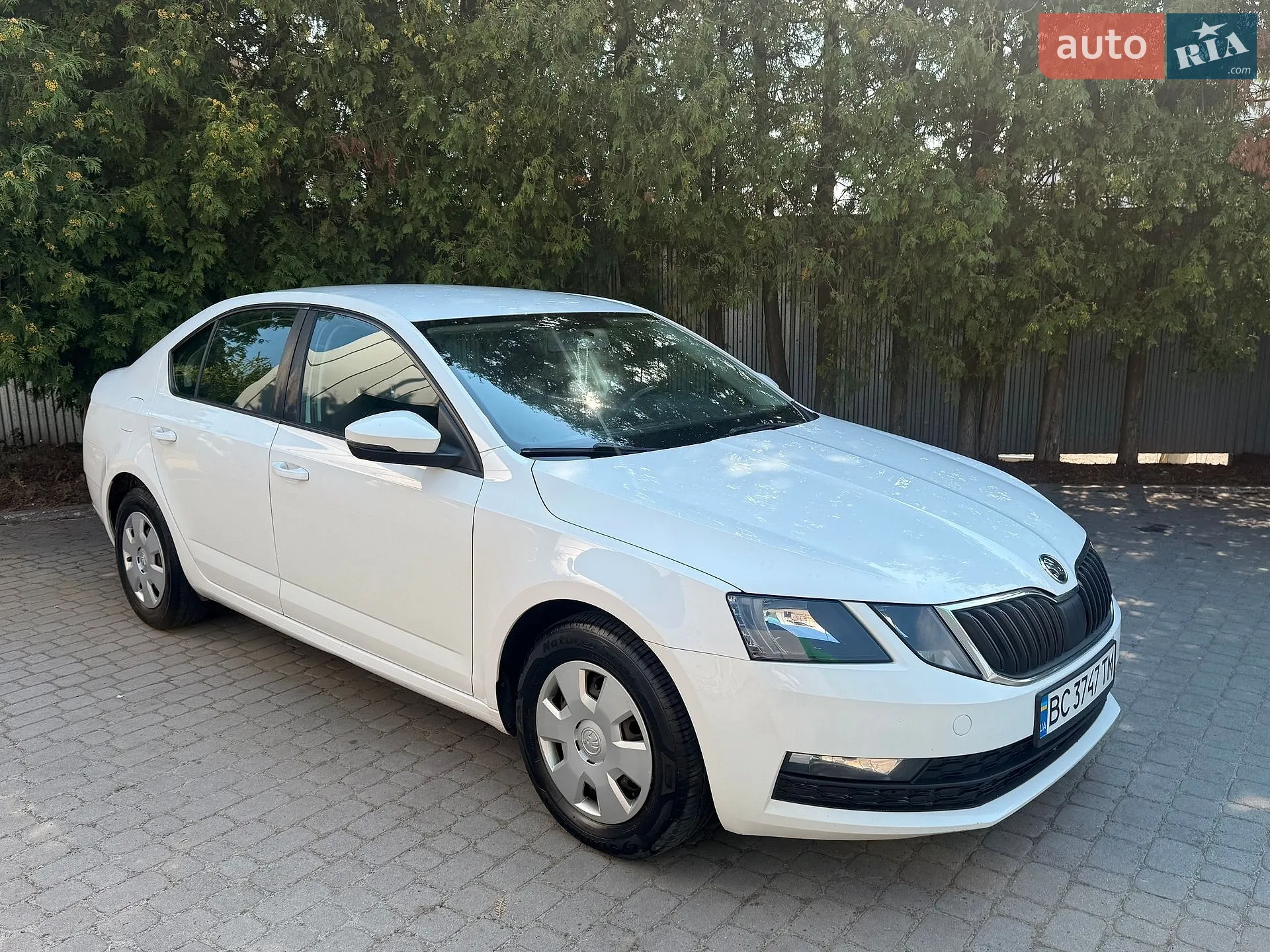 2018 Skoda Octavia - мініатюра 3