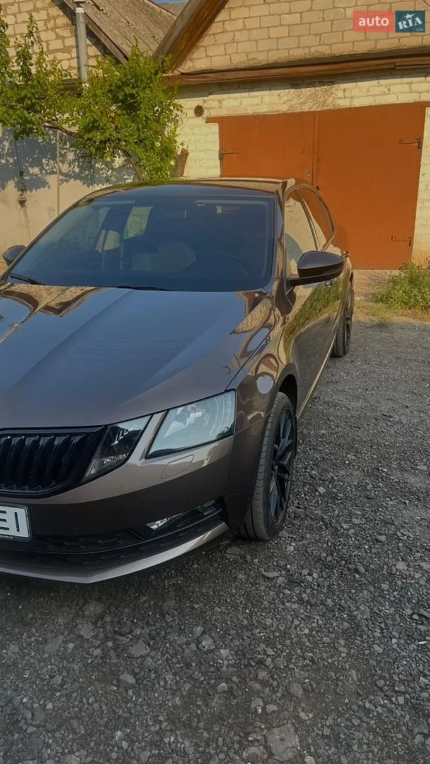 2019 Skoda Octavia - мініатюра 3