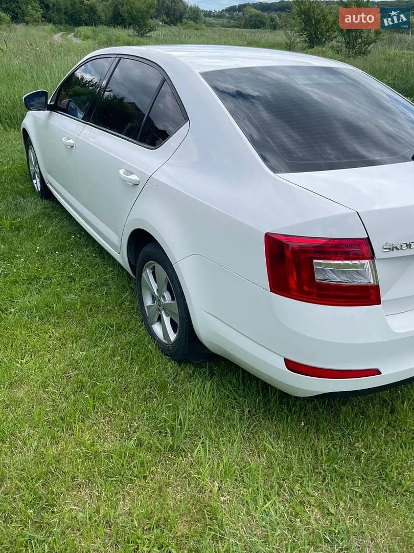 2013 Skoda Octavia - мініатюра 6