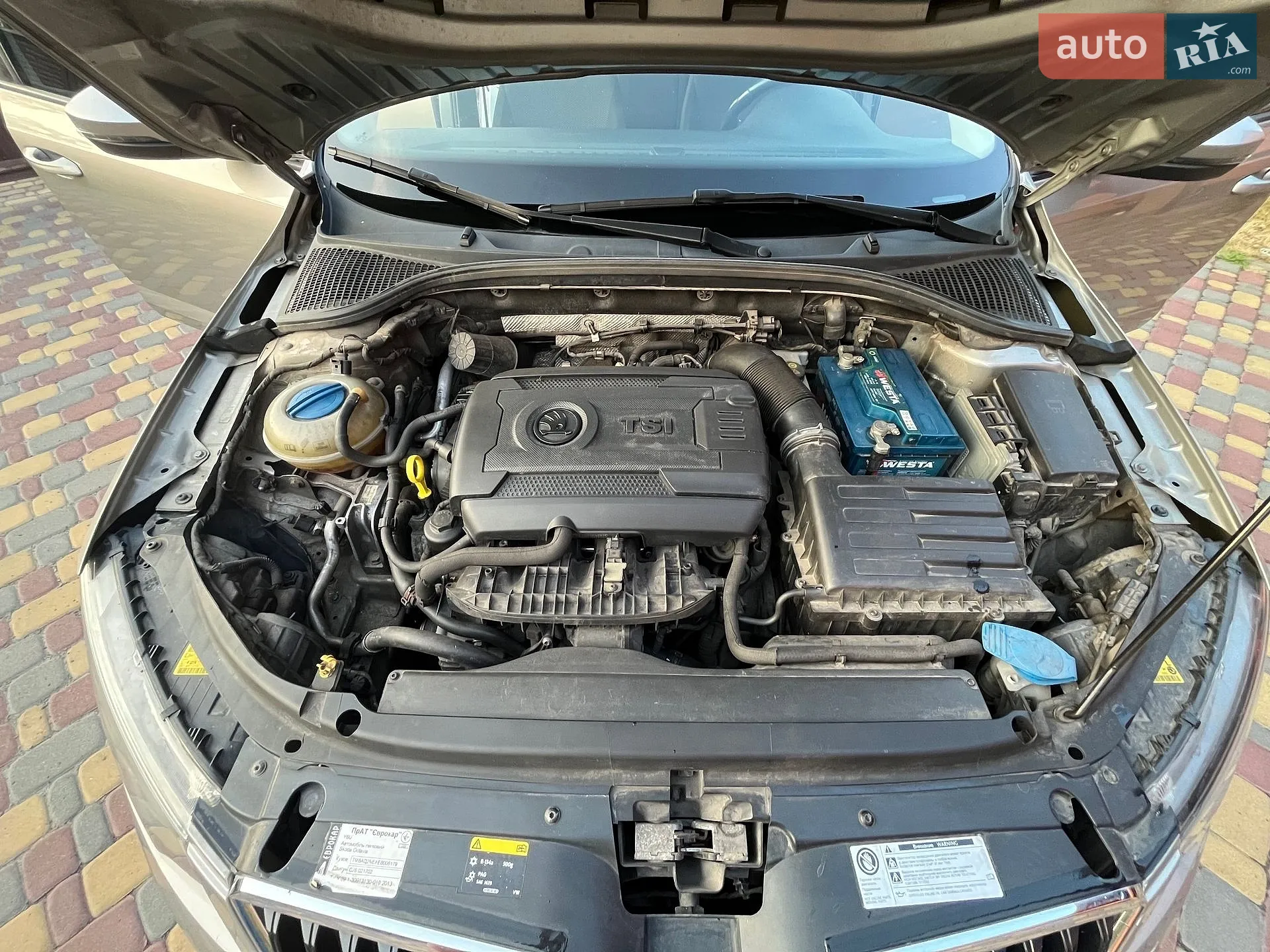 2013 Skoda Octavia - мініатюра 20