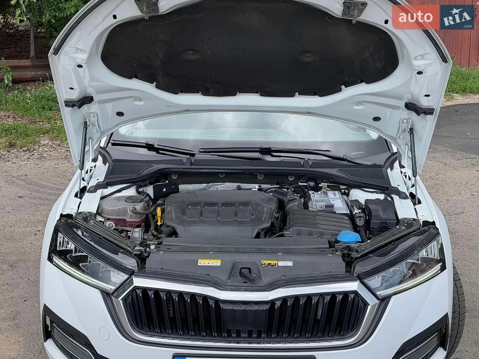 2021 Skoda Octavia - мініатюра 5