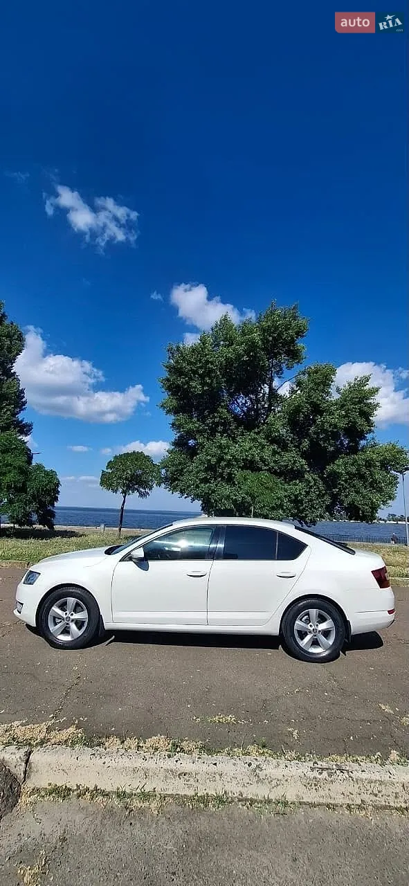 2016 Skoda Octavia - мініатюра 38