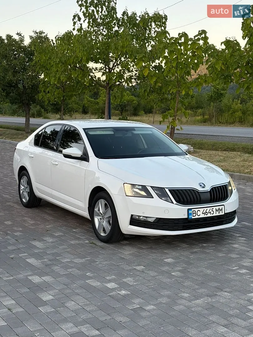 2017 Skoda Octavia - мініатюра 3