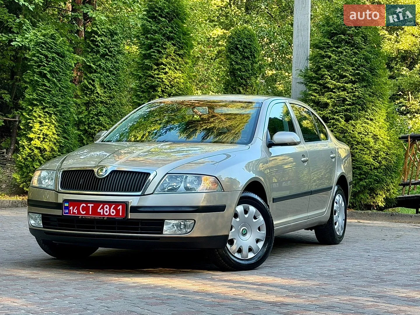 Skoda Octavia 2010 VIN TMBKK61Z3A2042414 фото оголошення 5 з 20