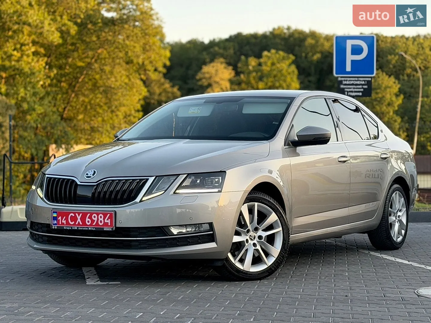 2018 Skoda Octavia - мініатюра 2