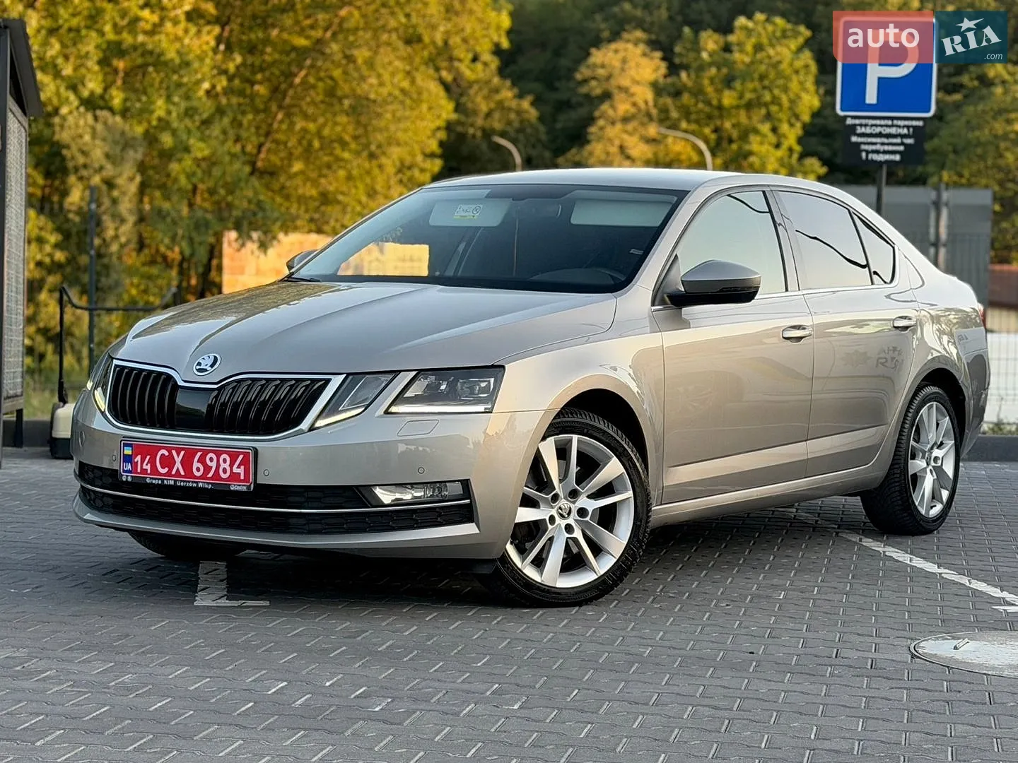2018 Skoda Octavia - мініатюра 3