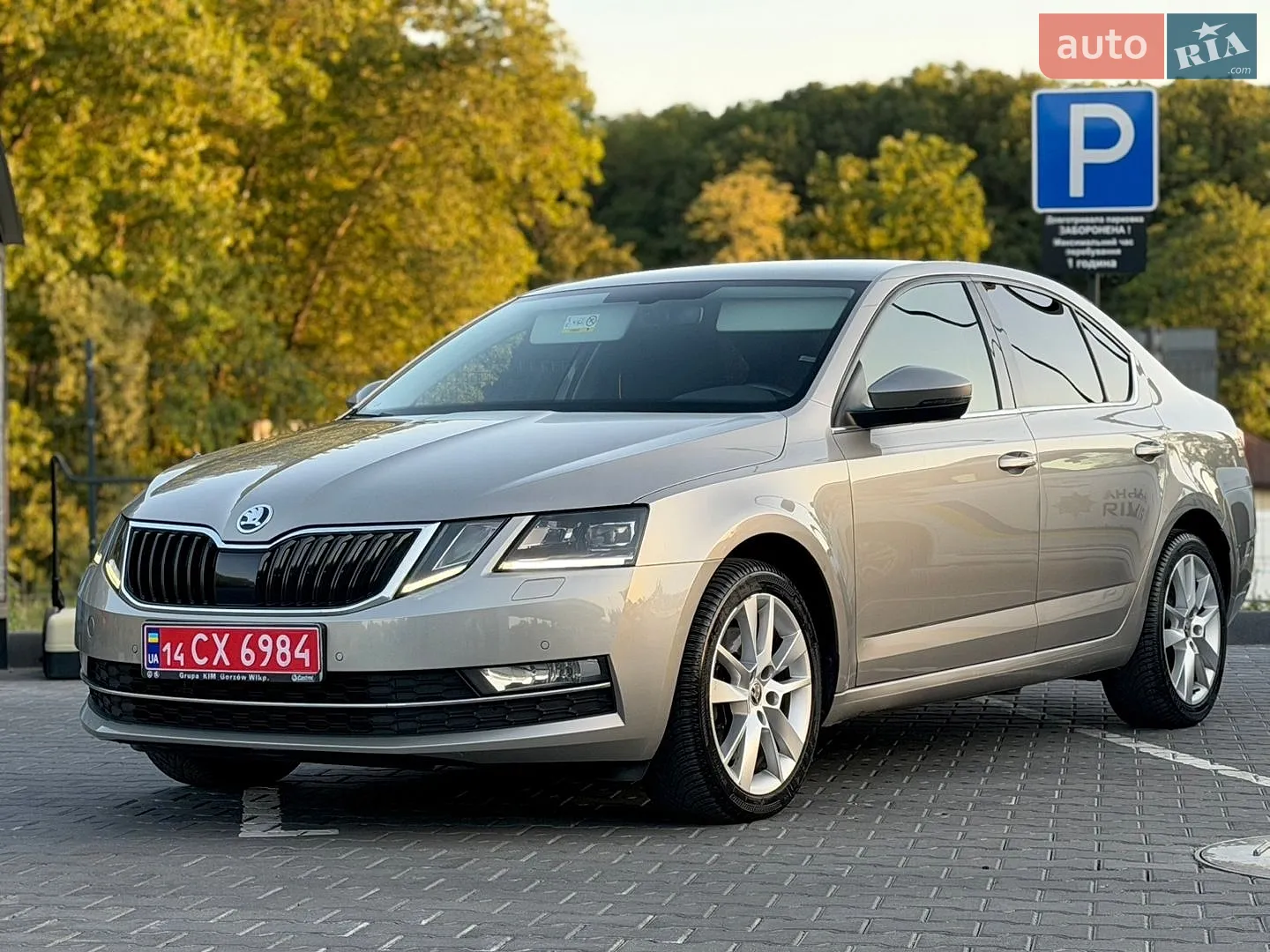 2018 Skoda Octavia - мініатюра 10