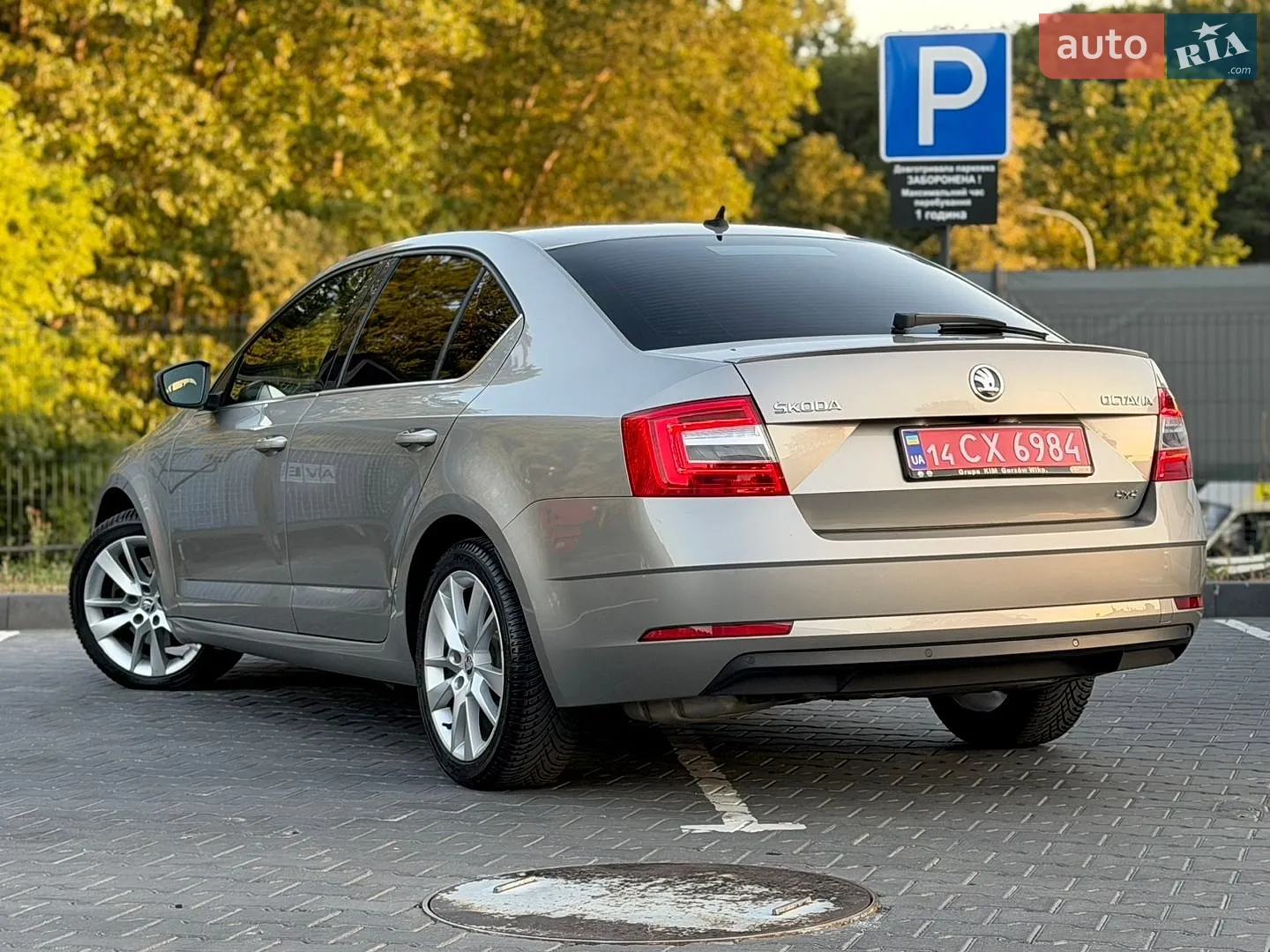 2018 Skoda Octavia - мініатюра 13