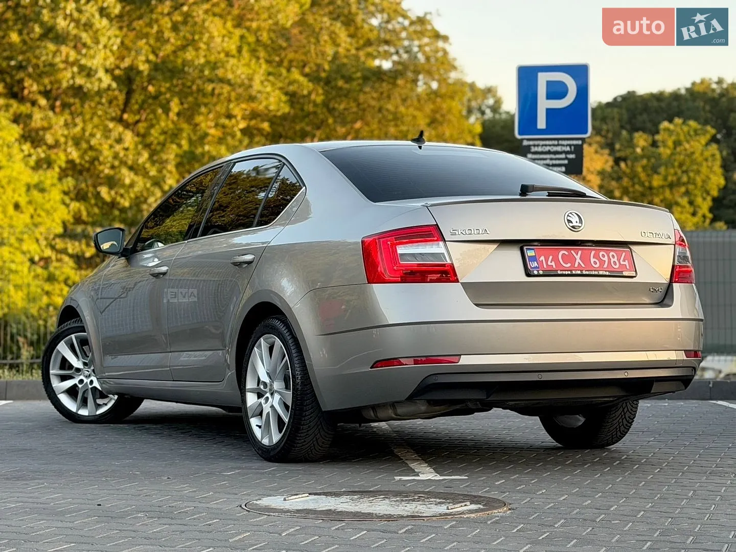 2018 Skoda Octavia - мініатюра 14