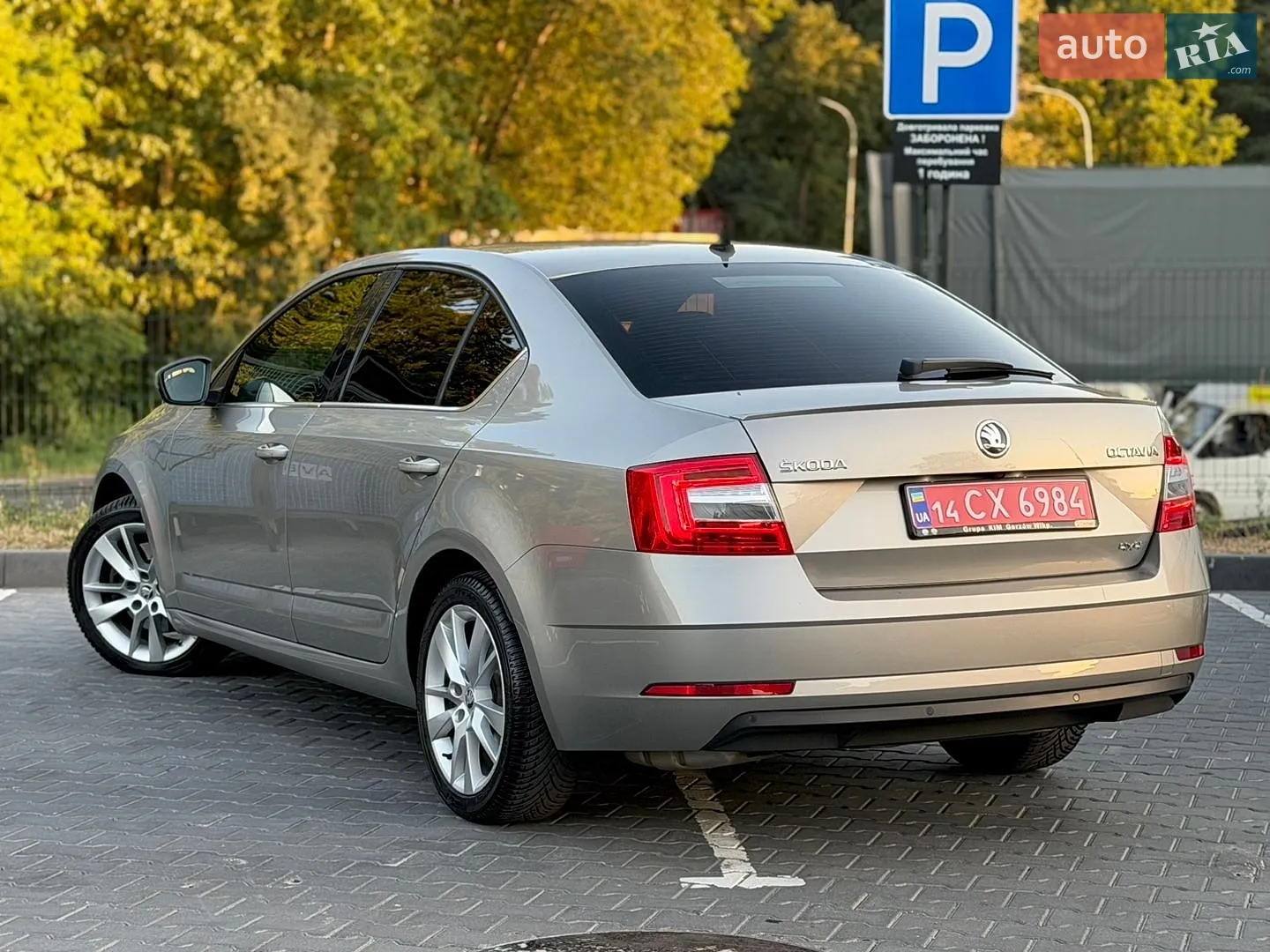 2018 Skoda Octavia - мініатюра 12