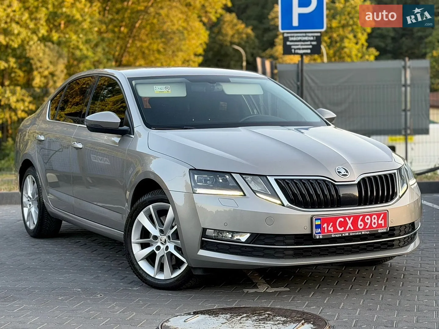 2018 Skoda Octavia - мініатюра 26