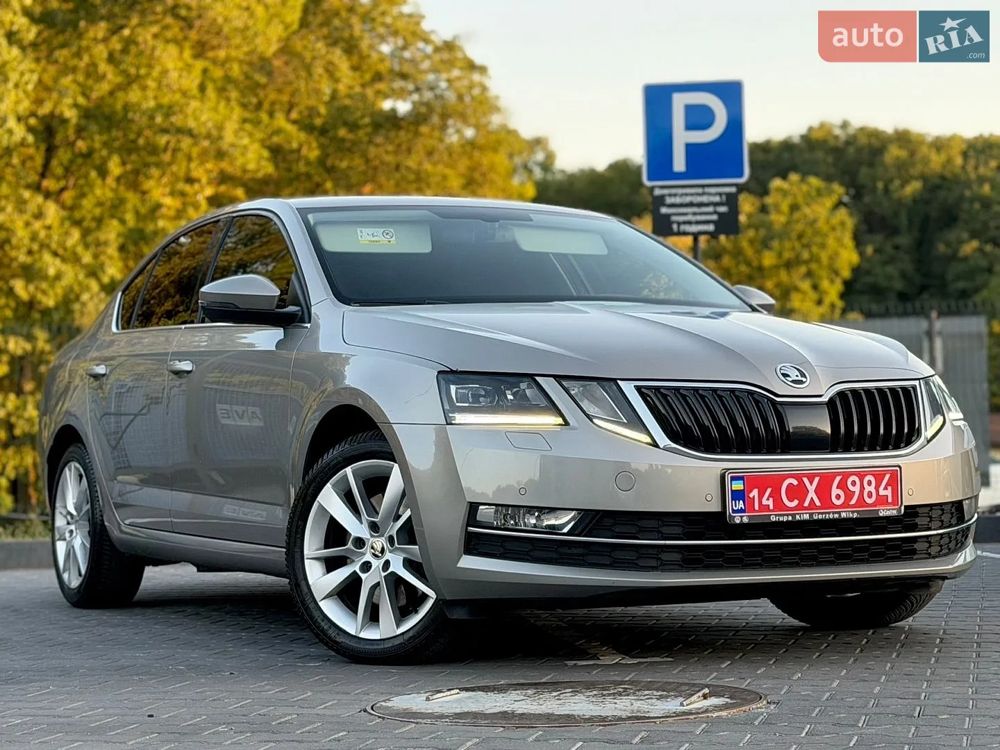 2018 Skoda Octavia - мініатюра 29