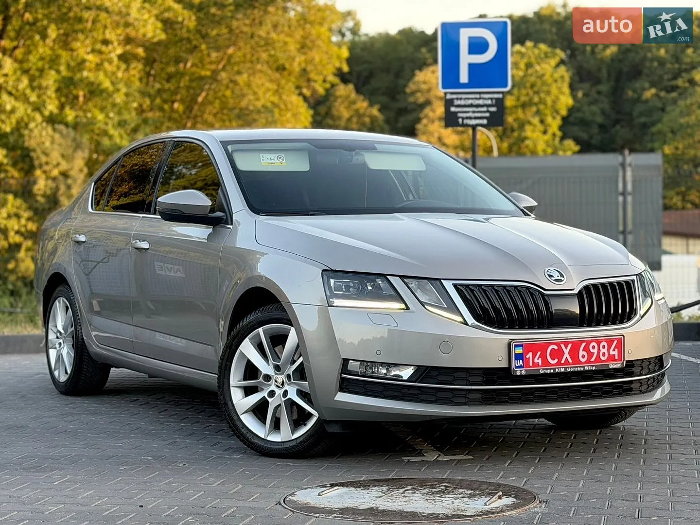 2018 Skoda Octavia - мініатюра 30