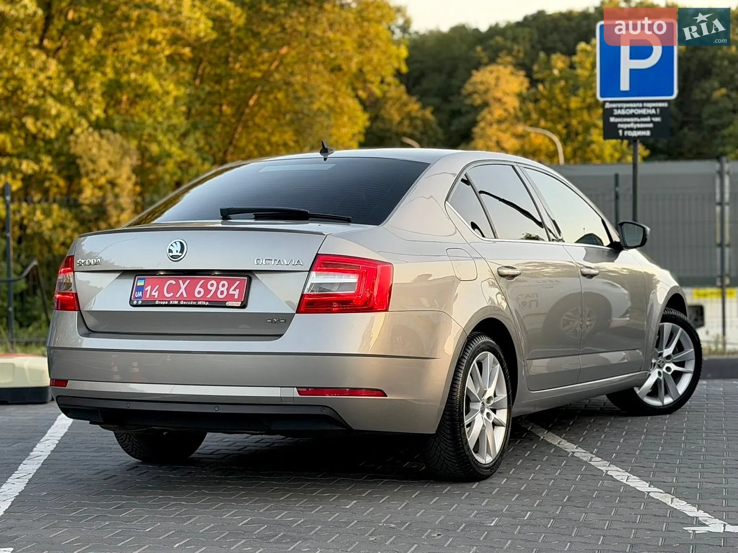 2018 Skoda Octavia - мініатюра 39