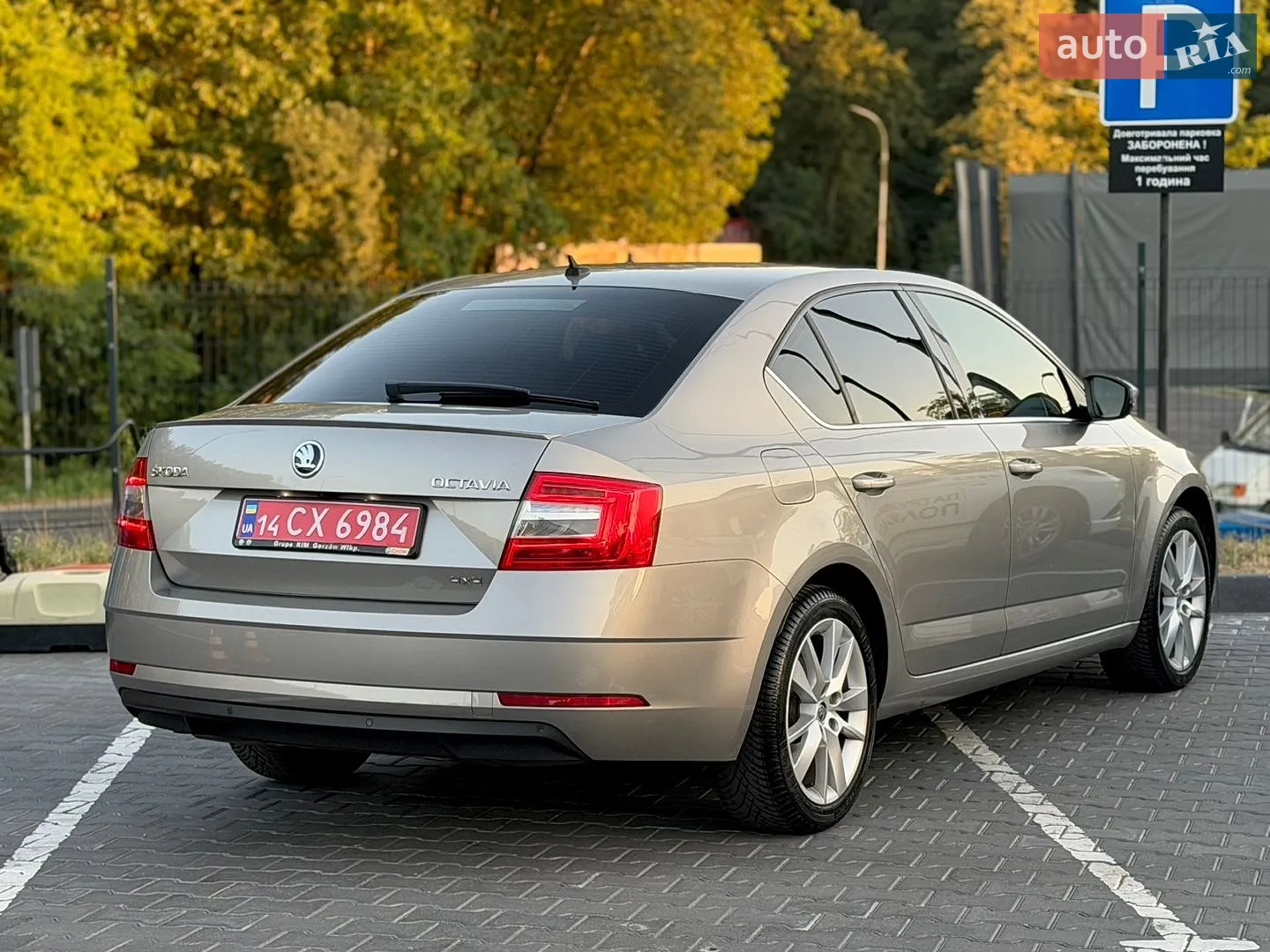 2018 Skoda Octavia - мініатюра 46