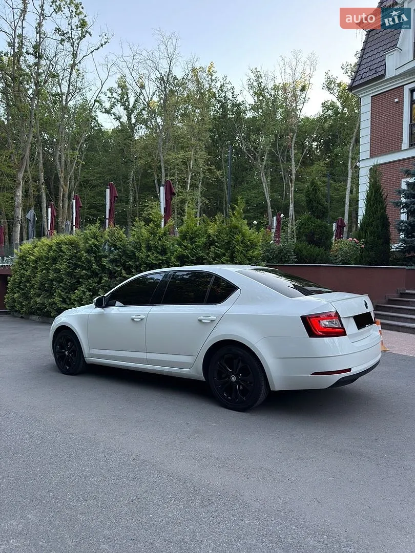 2019 Skoda Octavia - мініатюра 5