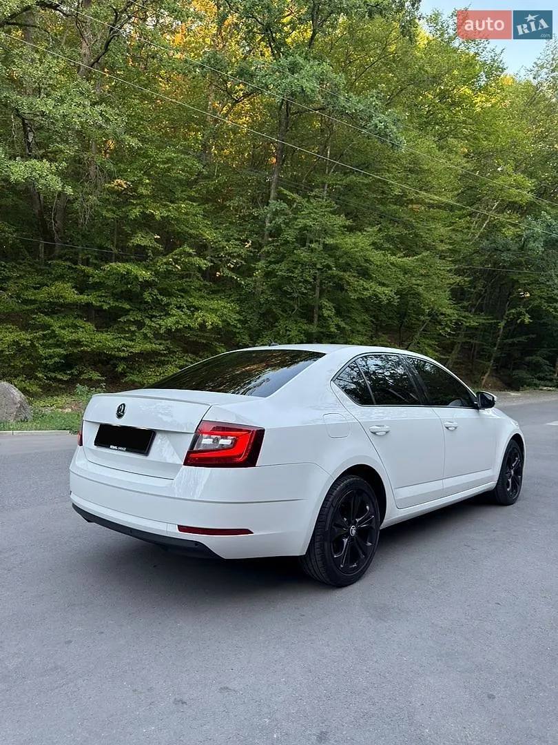 2019 Skoda Octavia - мініатюра 6