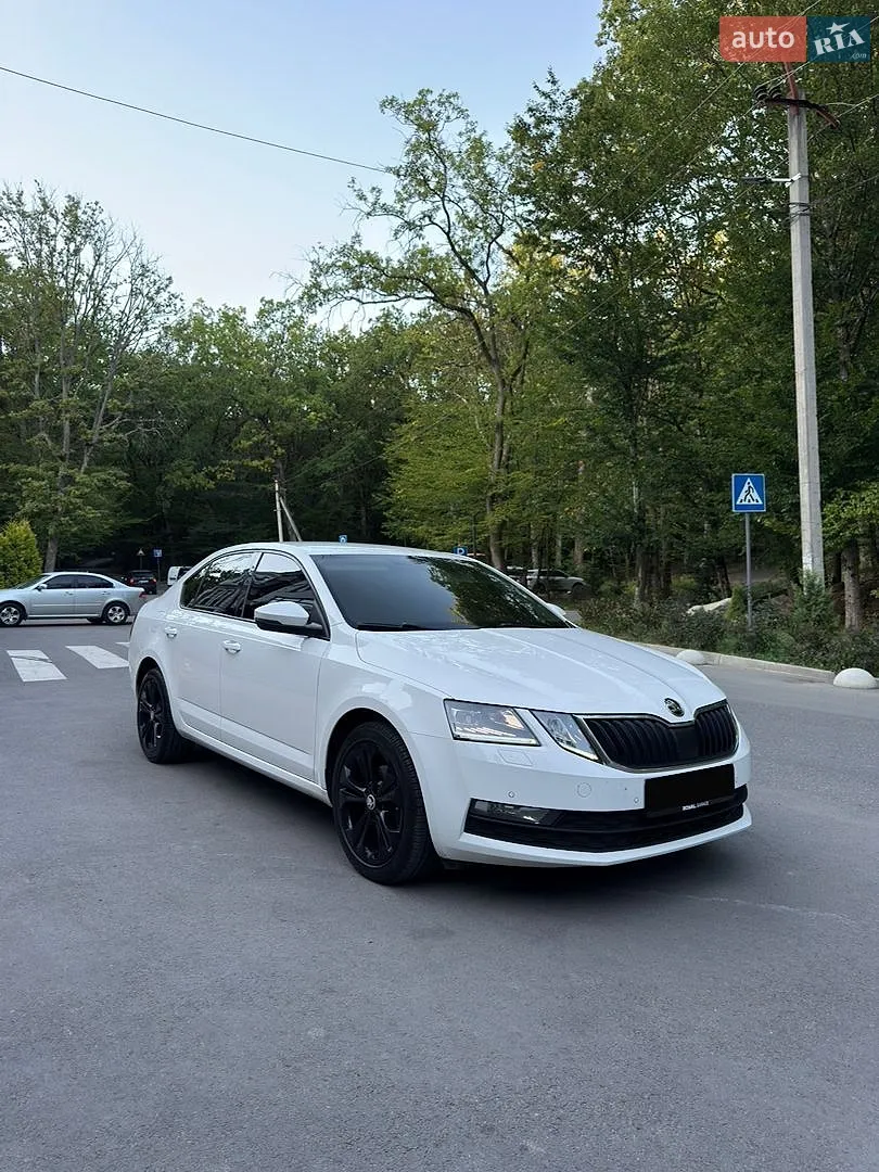 2019 Skoda Octavia - мініатюра 8