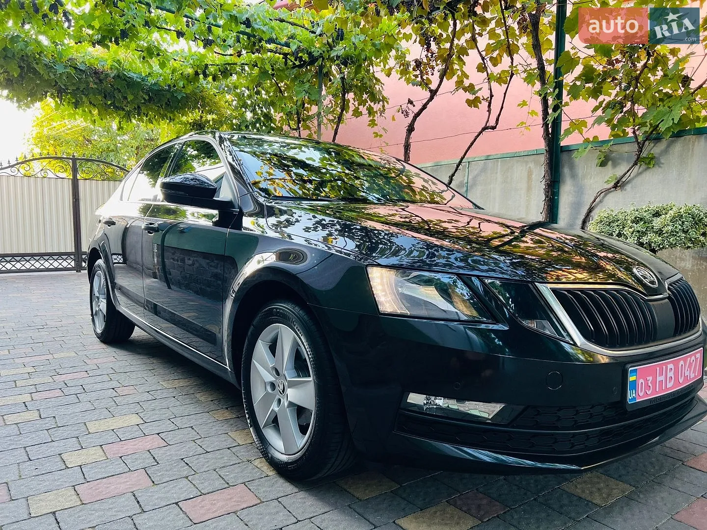2018 Skoda Octavia - мініатюра 3