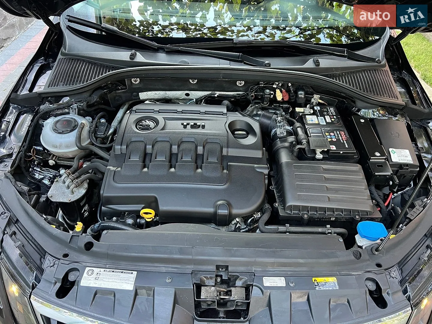 2018 Skoda Octavia - мініатюра 22