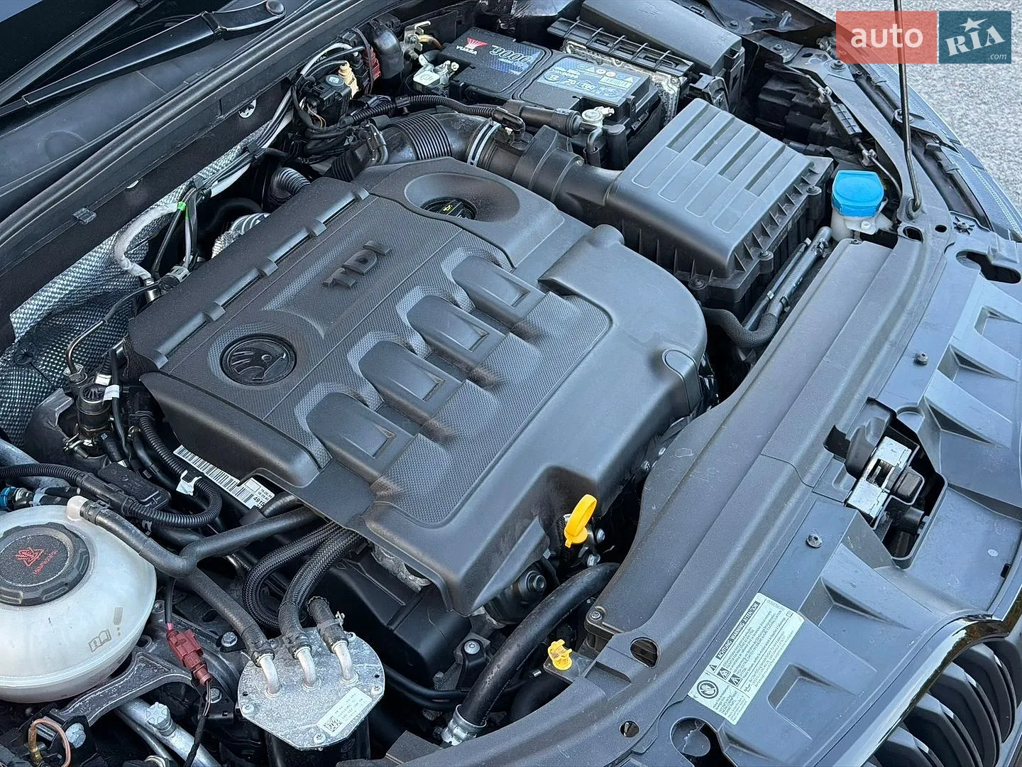 2019 Skoda Octavia - мініатюра 65