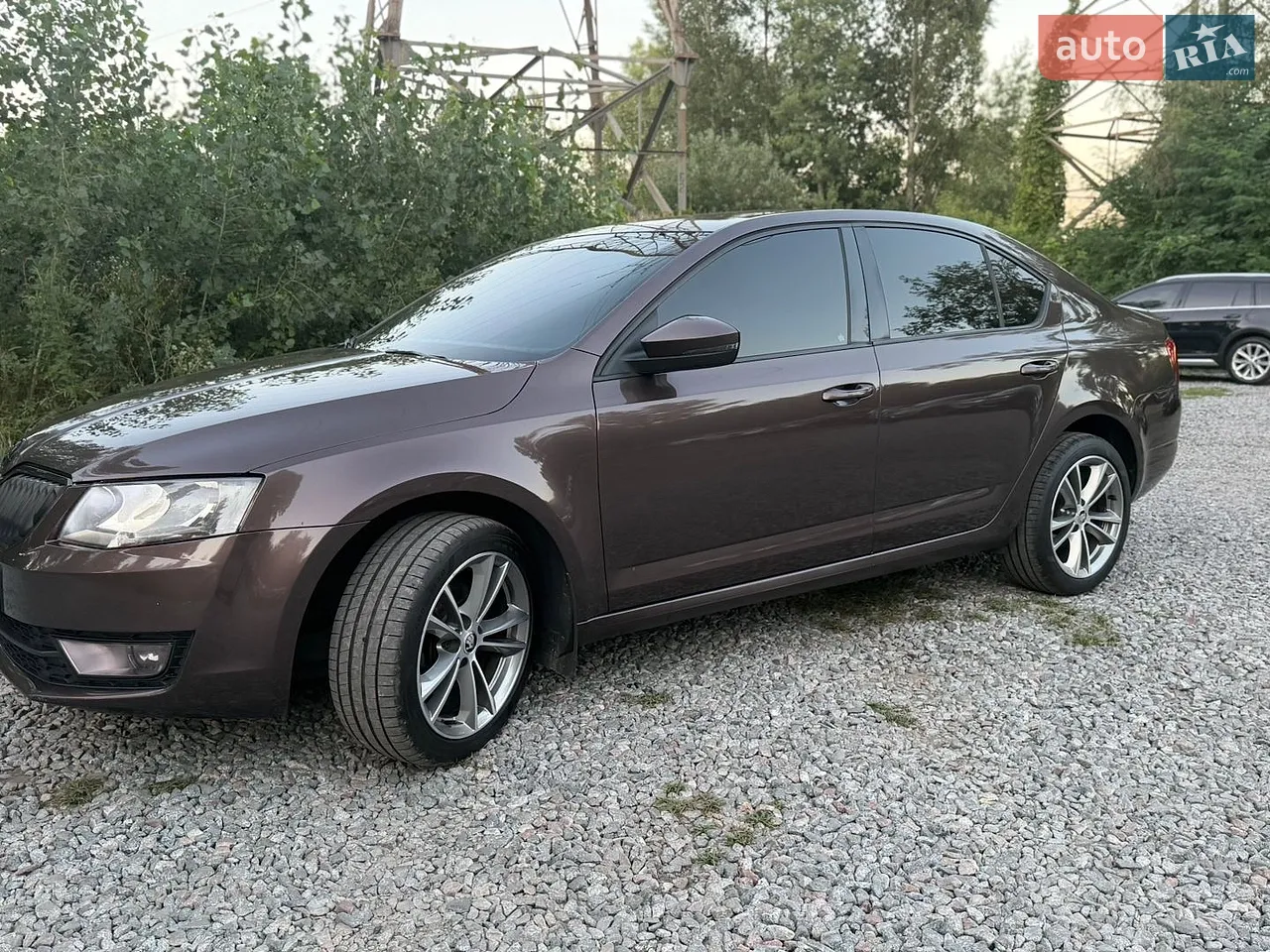 2013 Skoda Octavia - мініатюра 11