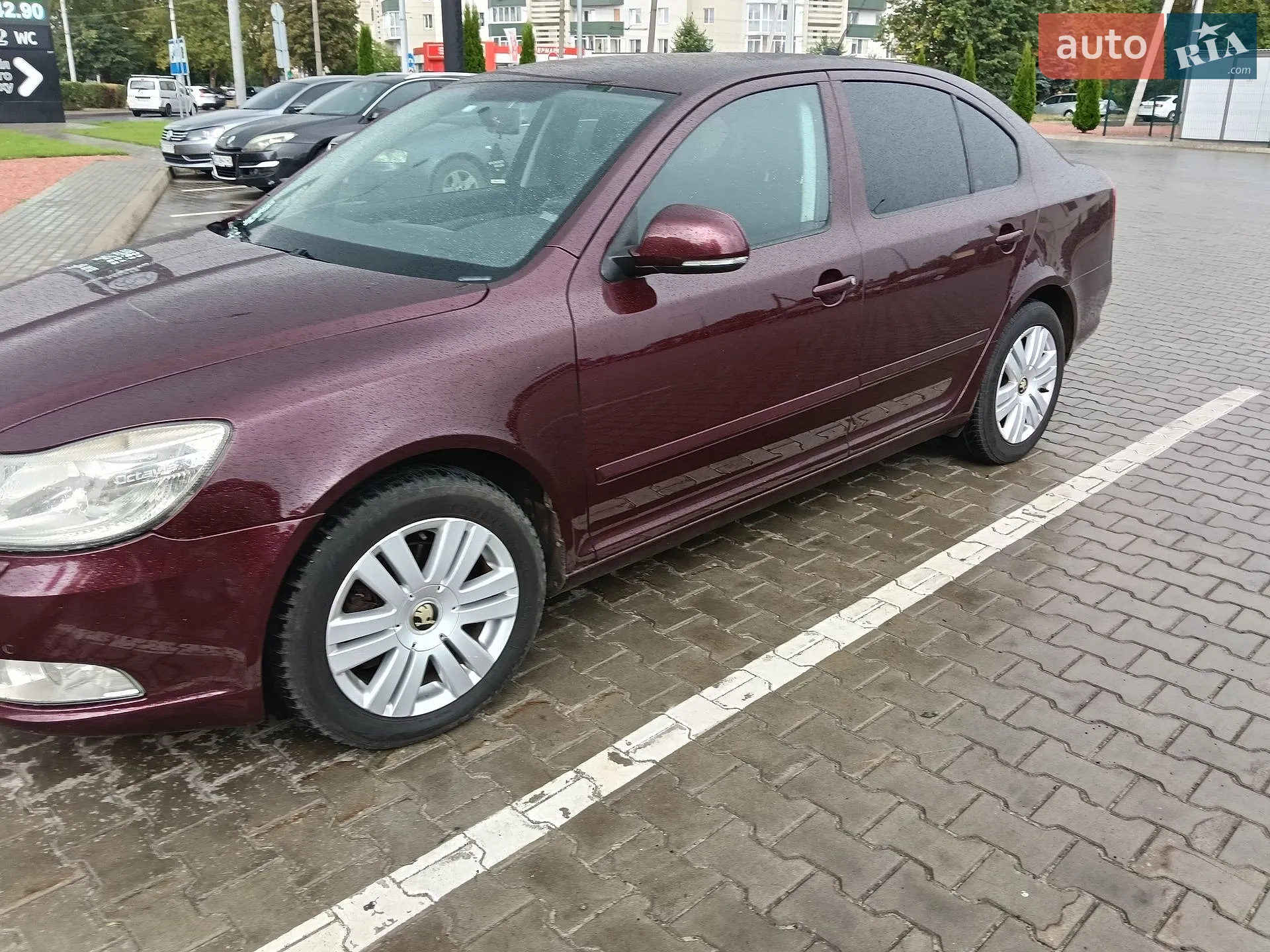 2010 Skoda Octavia - мініатюра 3