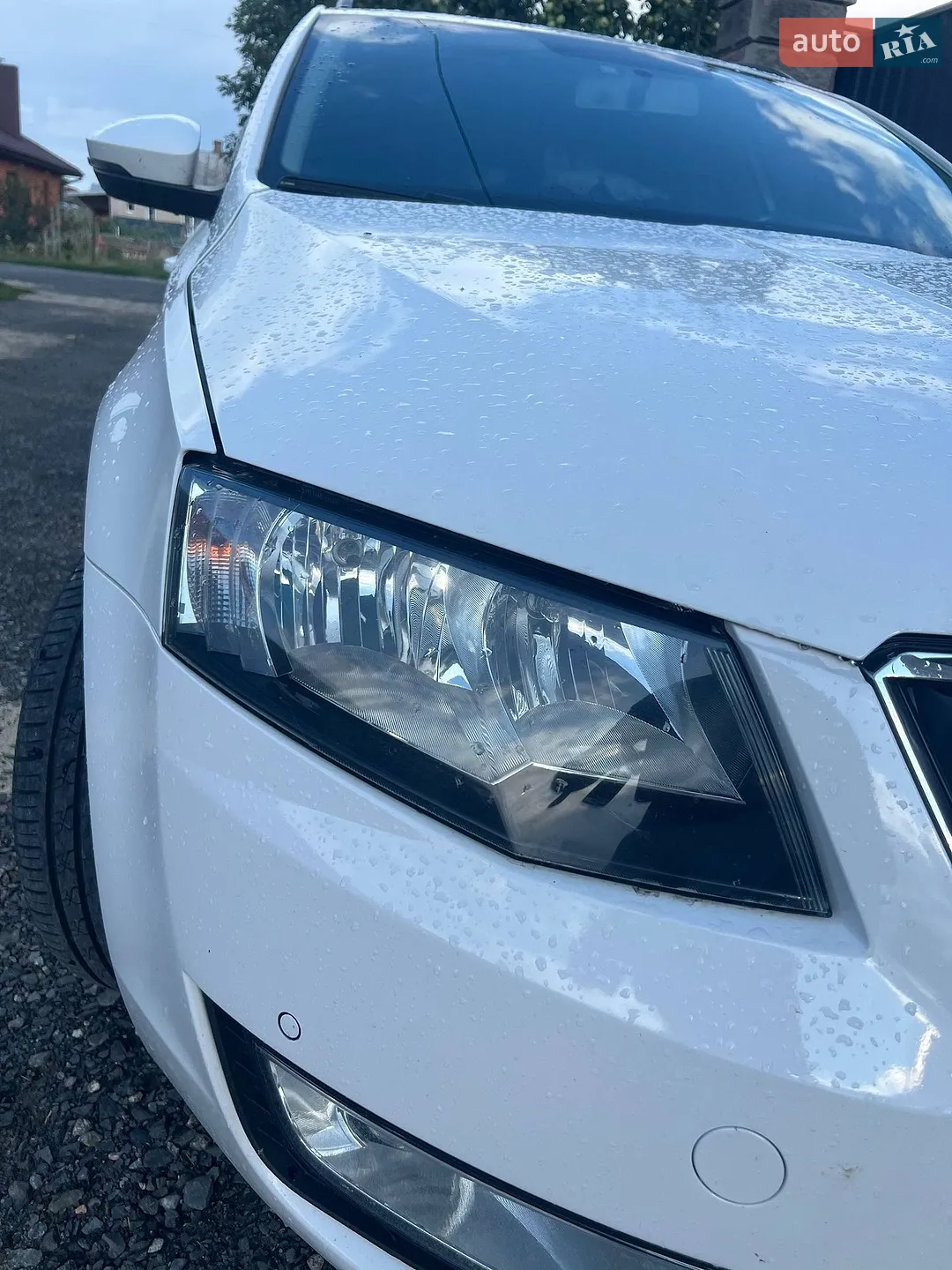 2014 Skoda Octavia - мініатюра 9