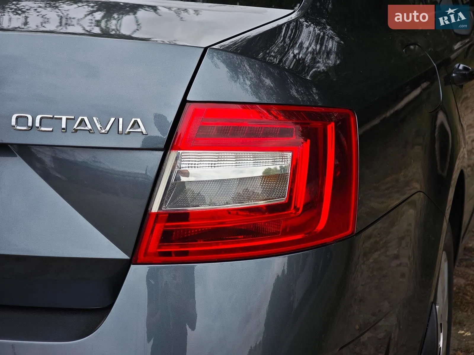 2019 Skoda Octavia - мініатюра 10