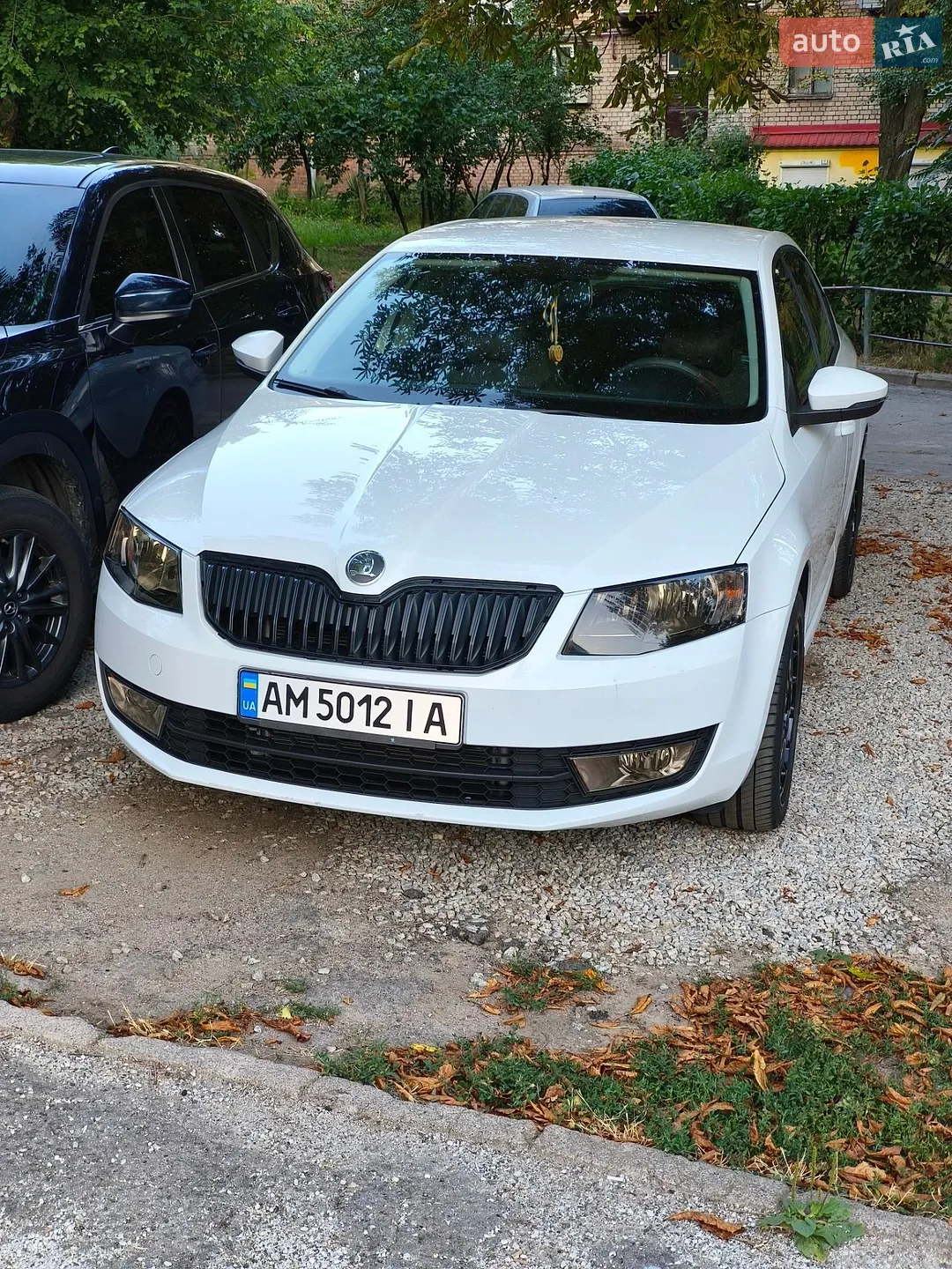 2014 Skoda Octavia - фото 1