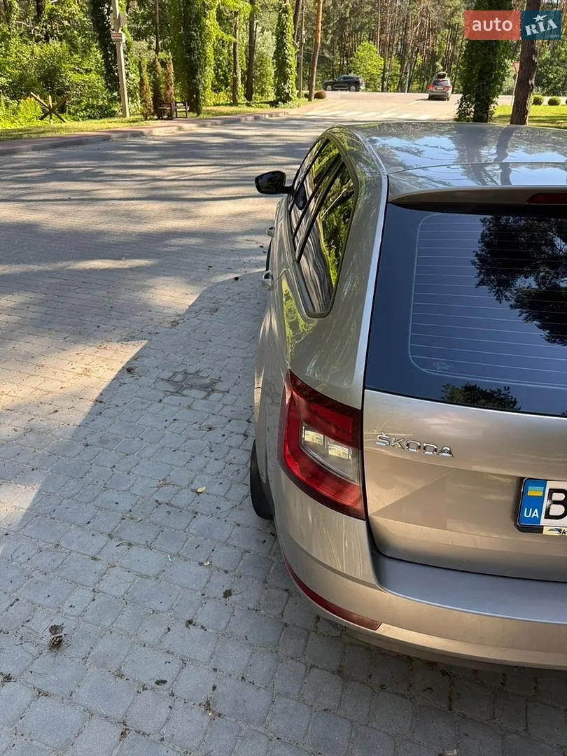 2017 Skoda Octavia - мініатюра 10